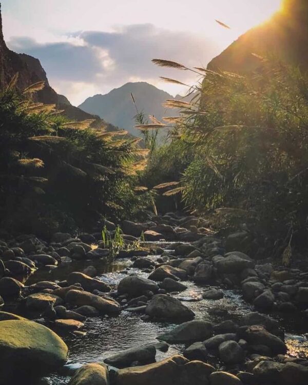 Wadi Wurayah National Park Nominated As UNESCO Heritage Site - TRENDS Mena